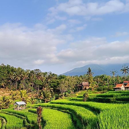 D'Ume Bendoel Homestay Jatiluwih Eksteriør billede