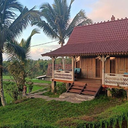 D'Ume Bendoel Homestay Jatiluwih Eksteriør billede