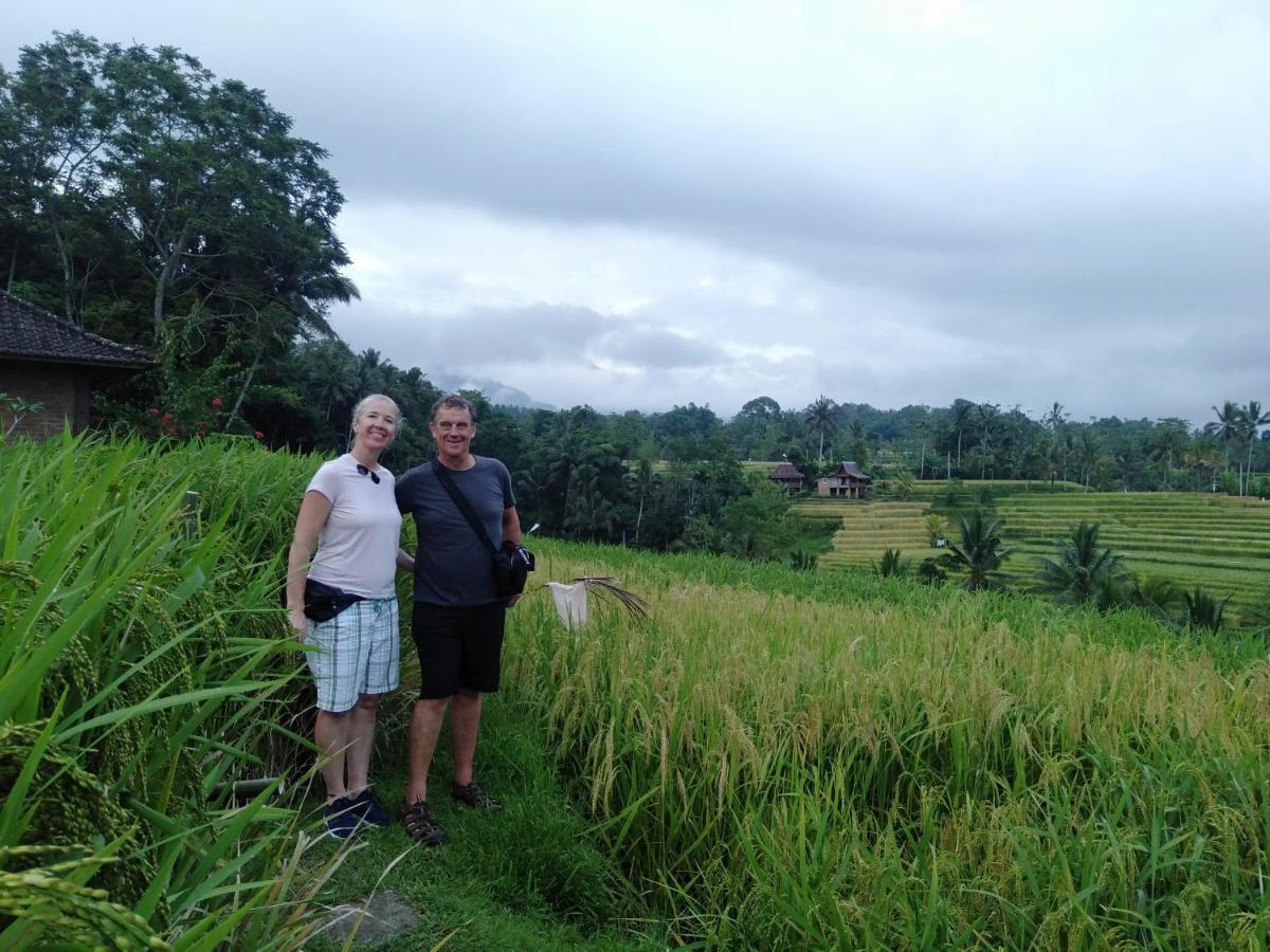 D'Ume Bendoel Homestay Jatiluwih Eksteriør billede