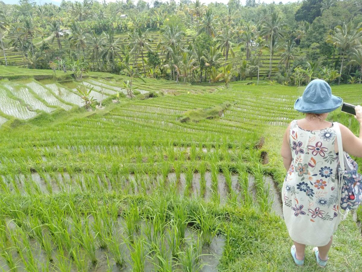 D'Ume Bendoel Homestay Jatiluwih Eksteriør billede