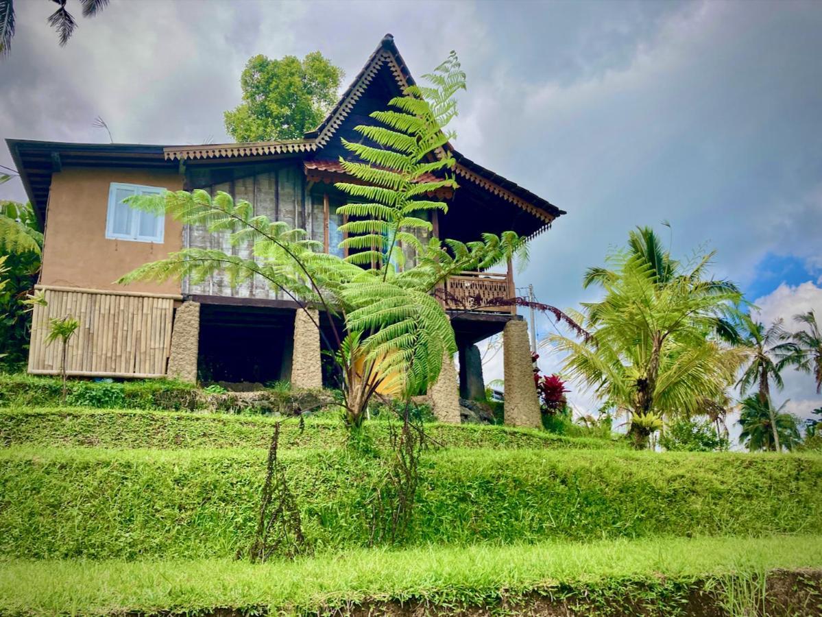 D'Ume Bendoel Homestay Jatiluwih Eksteriør billede