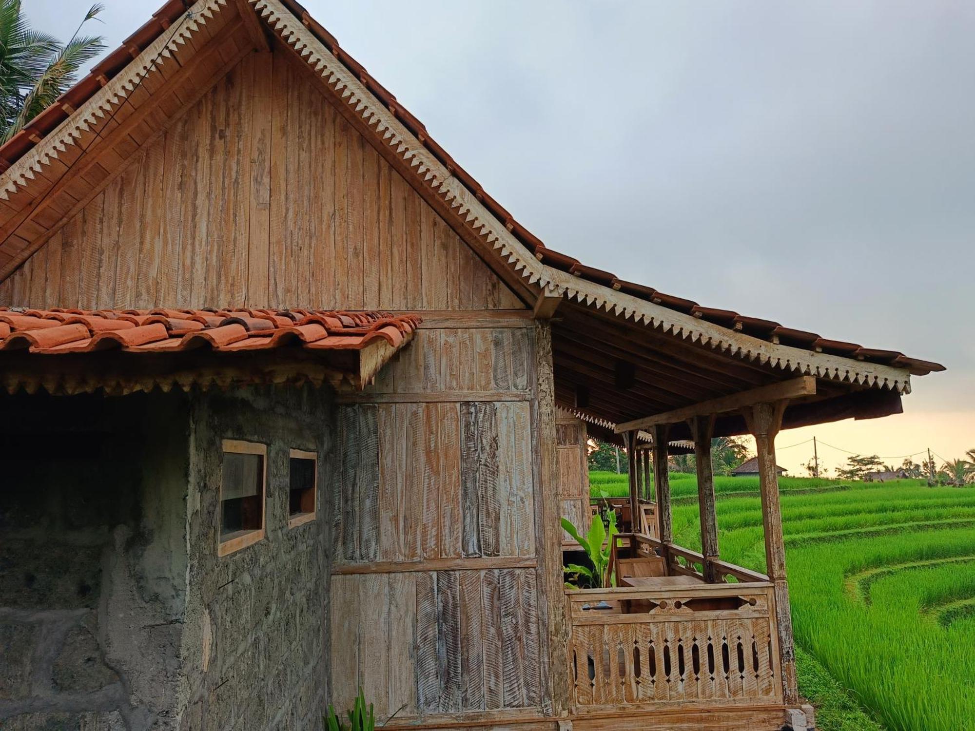 D'Ume Bendoel Homestay Jatiluwih Eksteriør billede