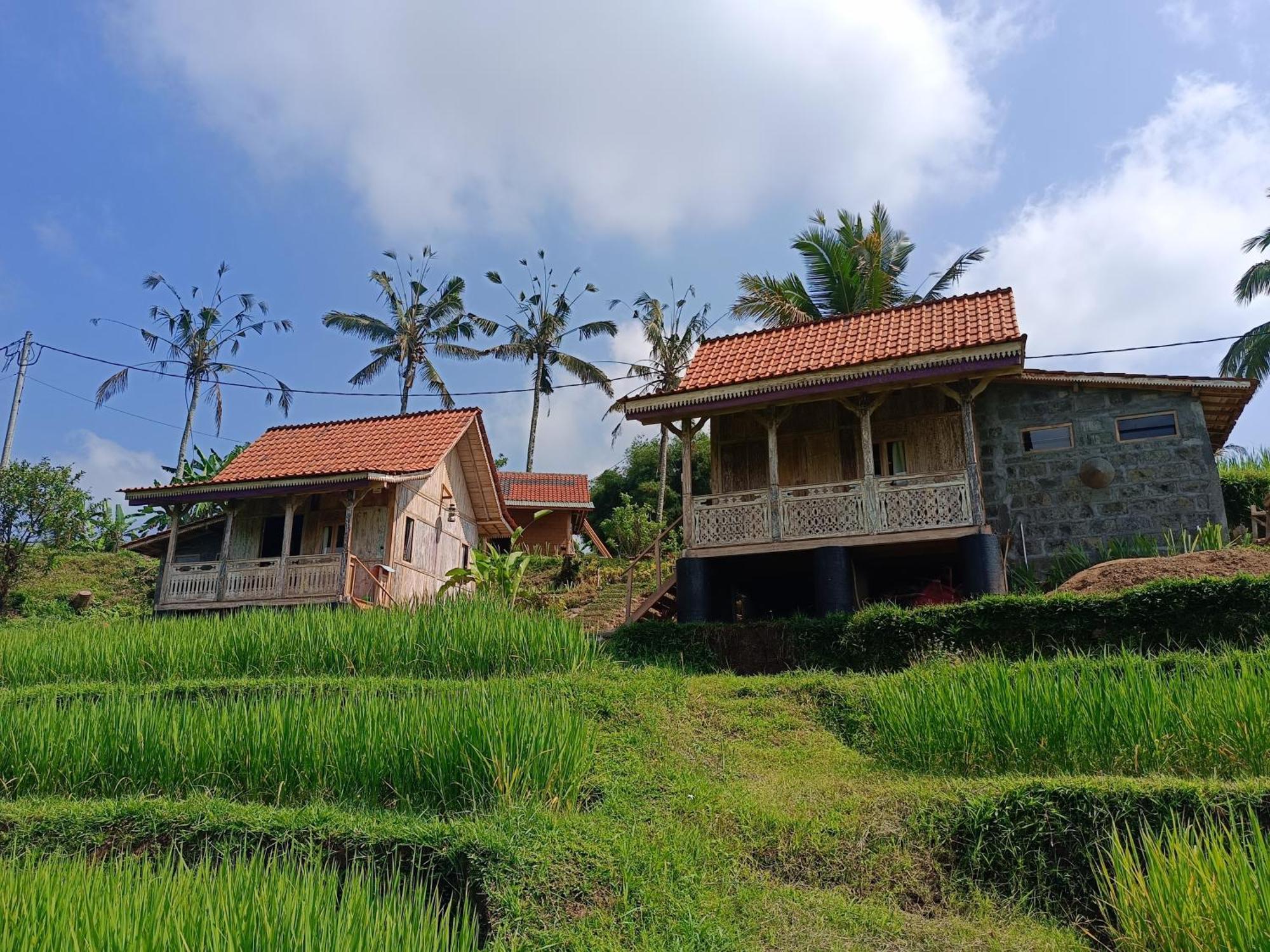 D'Ume Bendoel Homestay Jatiluwih Eksteriør billede