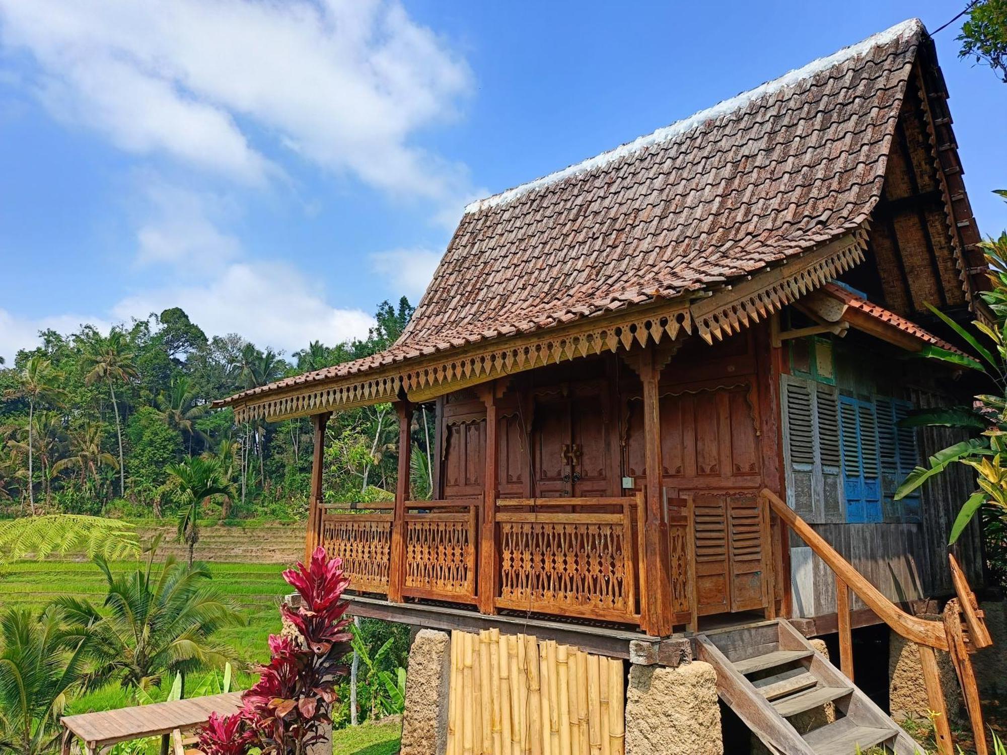 D'Ume Bendoel Homestay Jatiluwih Eksteriør billede