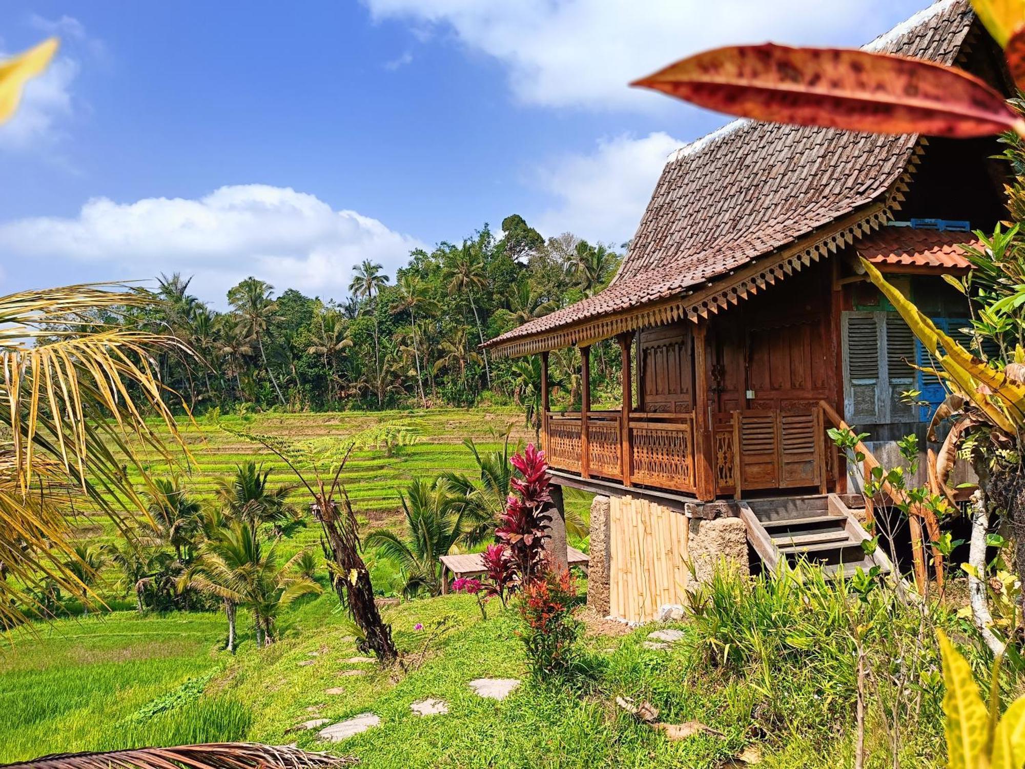 D'Ume Bendoel Homestay Jatiluwih Eksteriør billede