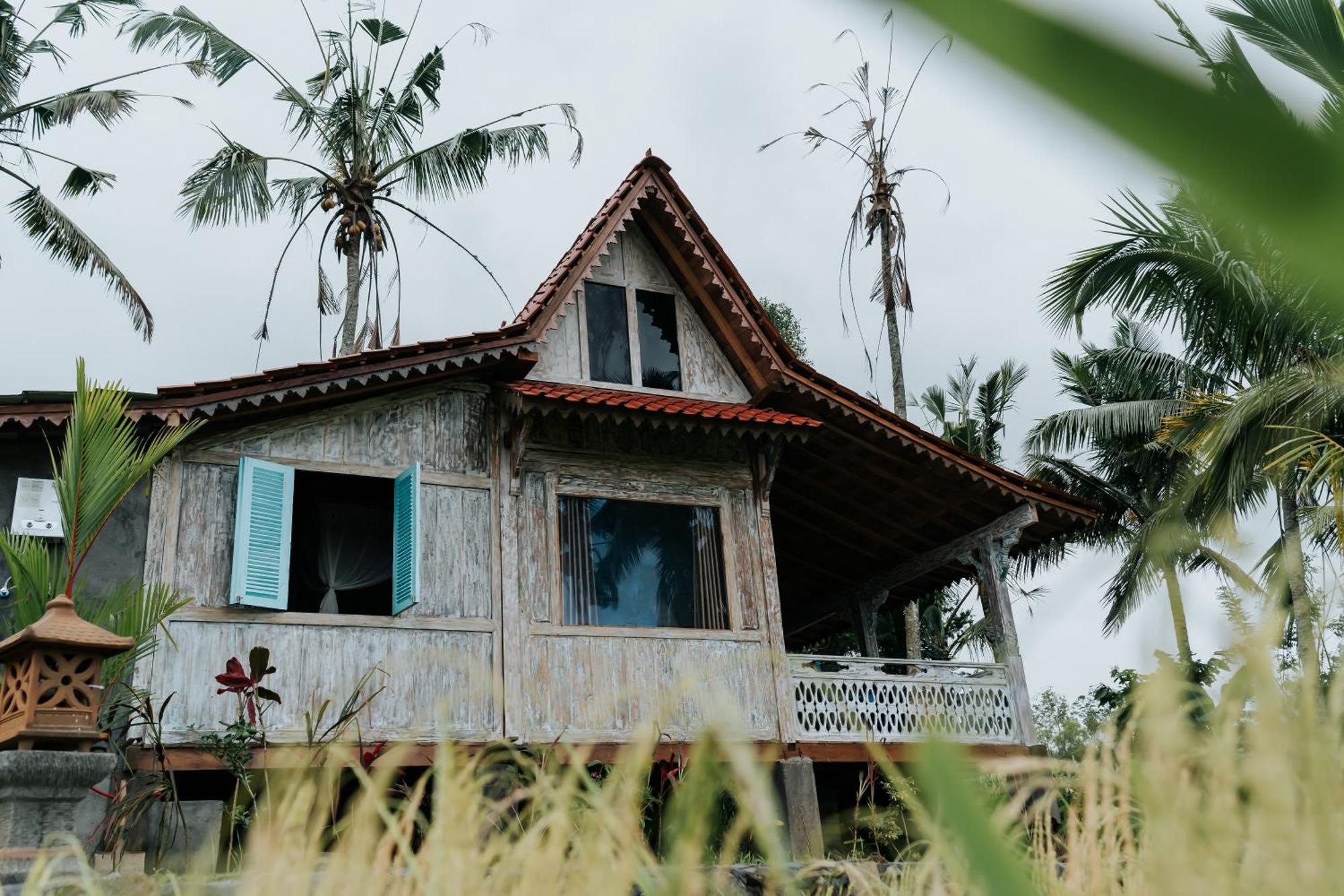D'Ume Bendoel Homestay Jatiluwih Værelse billede