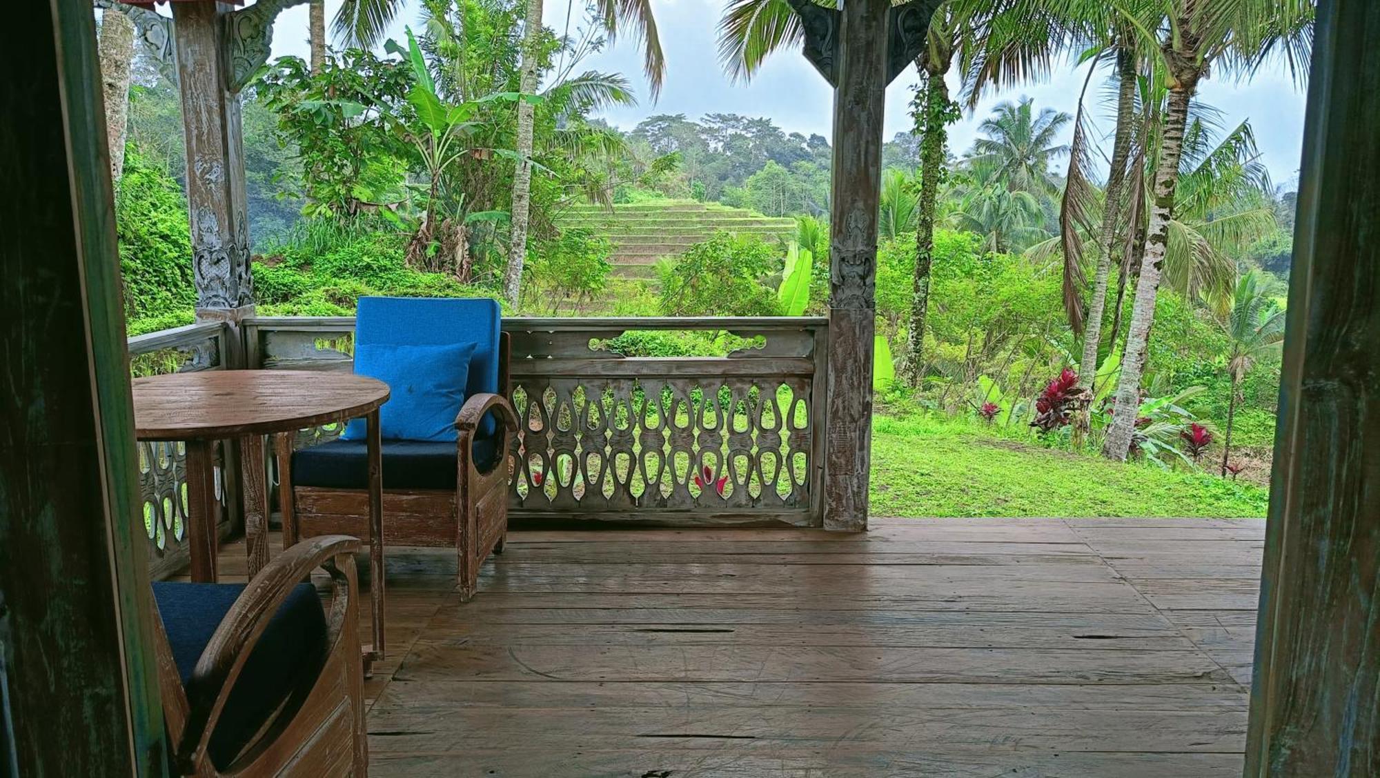 D'Ume Bendoel Homestay Jatiluwih Eksteriør billede