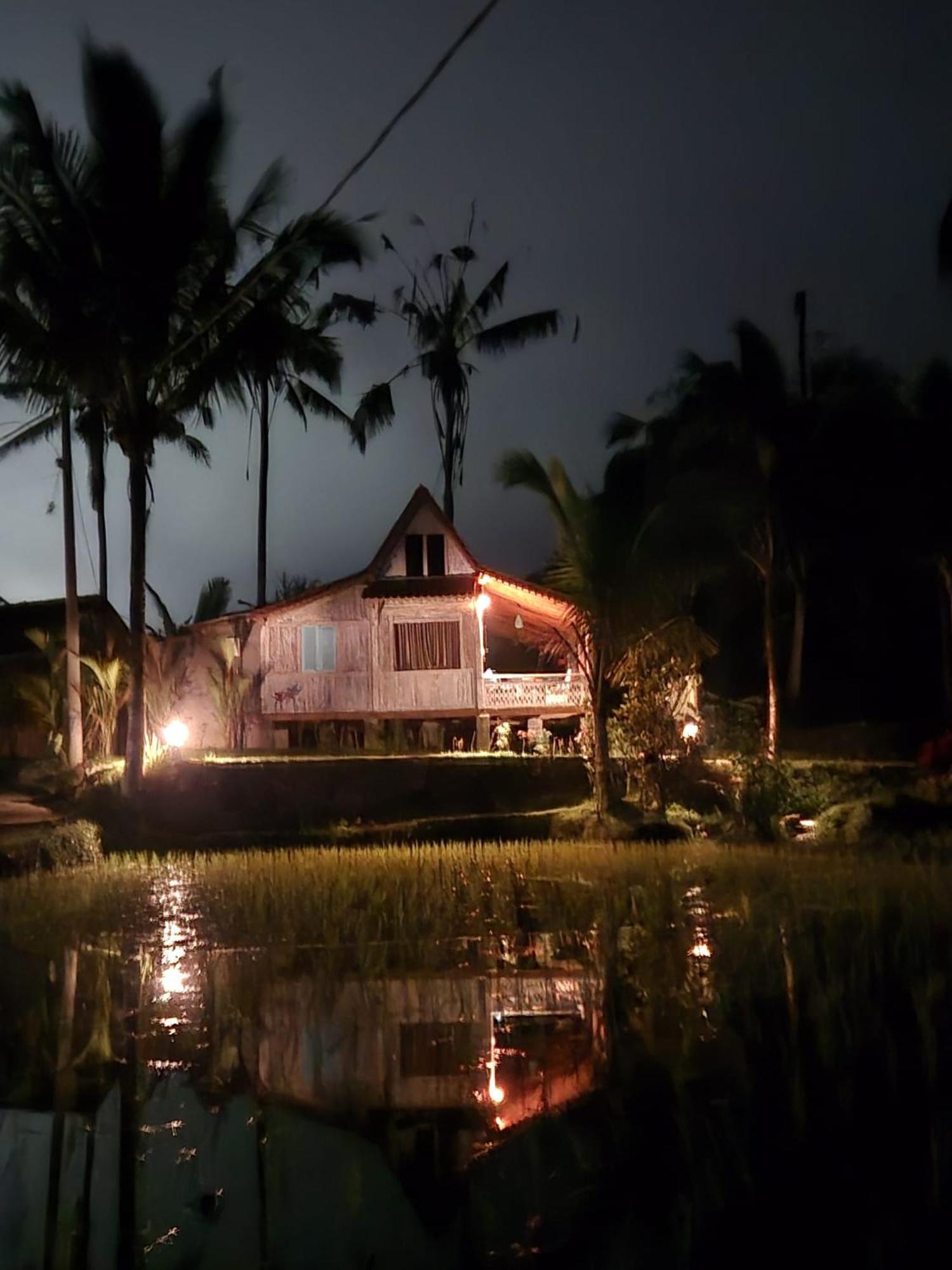 D'Ume Bendoel Homestay Jatiluwih Eksteriør billede